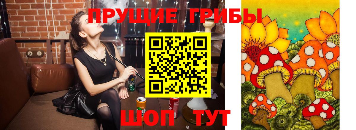 цена   Татарск  Галлюциногенные грибы мицелий  Псилоцибиновые грибы Cubensis 